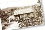 Ancienne case aux Antilles