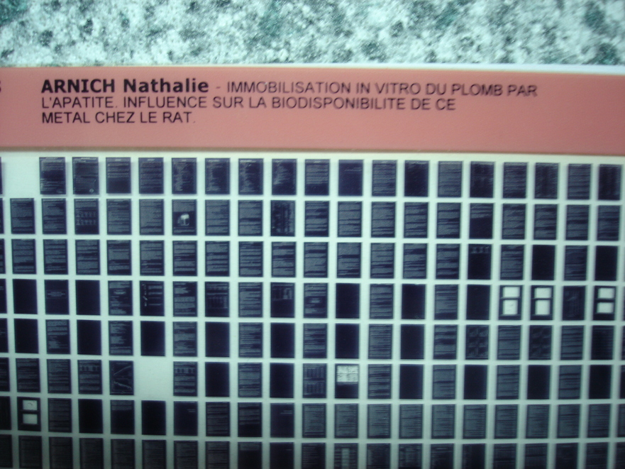 Microfiche