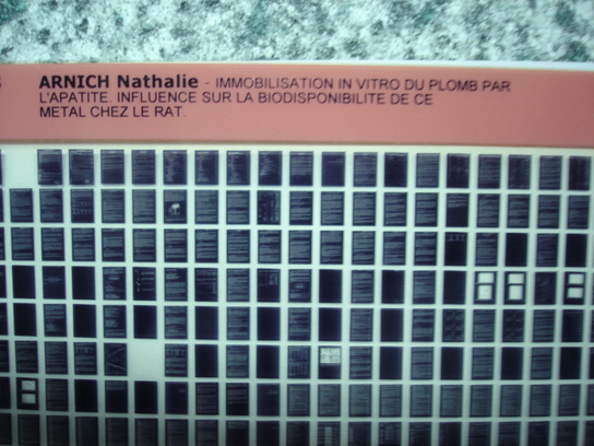 Microfiche